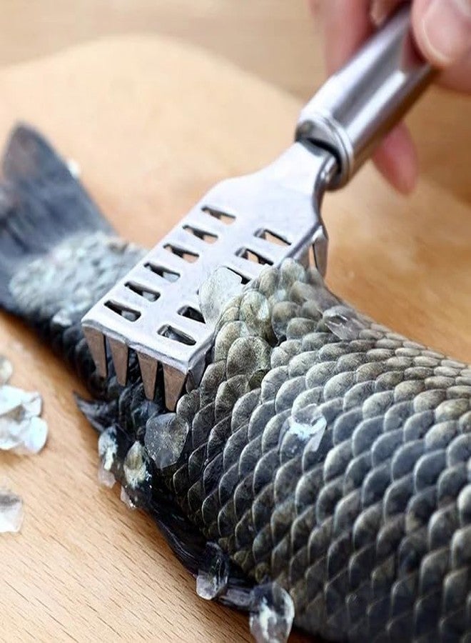 MeeTo Fish Scale Remover Scraper Stainless Steel Fish Peeling Scraper for Fish Skin Easy Fish Skin Scales Cleaning Kitchen Tool with Hanging Hook (Pack of 1) - Image 2
