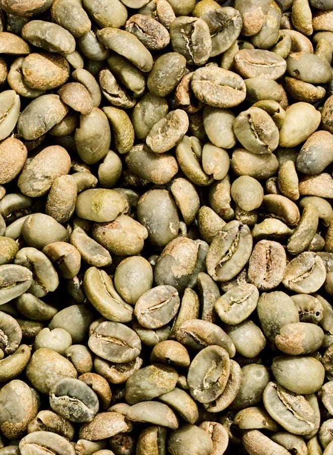 Acure كريم العين المرطب الفائق من أكور - مرطب صباحي للعين مع زيت القهوة الخضراء والأدابتوجينات - لتقليل الانتفاخات والحقائب تحت العين وتفتيح الهالات السوداء - طبيعي بالكامل، مستخلص نباتي - 0.5 أونصة سائلة - Image 5