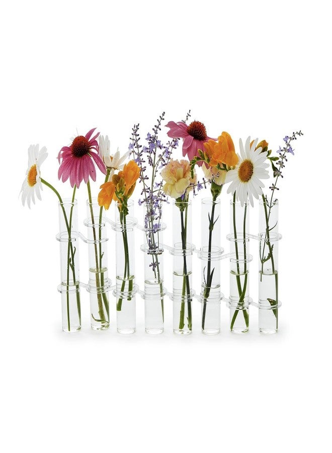 توز كومباني مجموعة من 8 مزهريات زهور أنبوبية مفصلية من تووز كومباني، 13 بوصة، زجاج شفاف - Image 1