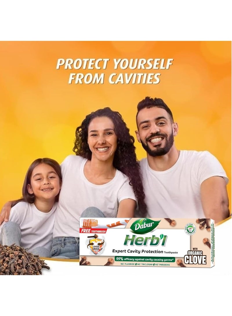 دابر معجون أسنان دابور العشبي بخلاصة القرنفل لحماية الأسنان من التسوس (١٥٠ غرام + فرشاة أسنان) | غني بالقرنفل | معجون أسنان طبيعي لأسنان قوية خالية من التسوس - Image 4