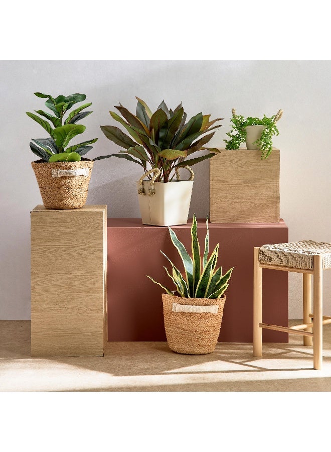 Home Box Bella Jute Mora Pot Cover with Juco Handle - 21x21x19 cm - Image 5