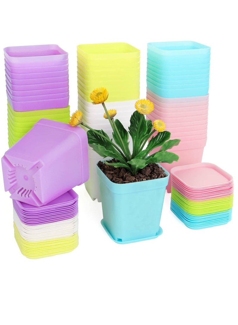 60 PCS Seed Starting Pots, 7cm Plastic Nursery Pots Square Plant Pots Fruit Plant Pots Flower Plant Containers Seedling Containers Cutting Transplant Pots Gardening Supplies for Fruit Vegetable Plant (Multicolour)