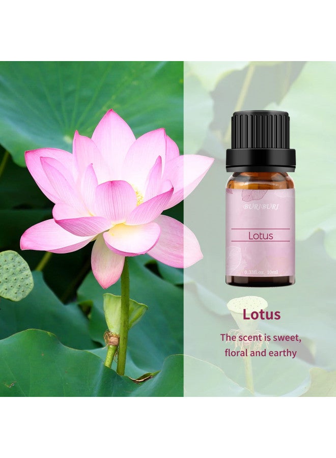 BURIBURI BURIBURI Lotus Essential Oil 100% Pure, Undiluted, Natural, Organic Aromatherapy Lotus Oils 10ML for Diffuser Soap Candle Making Home  - Image 2
