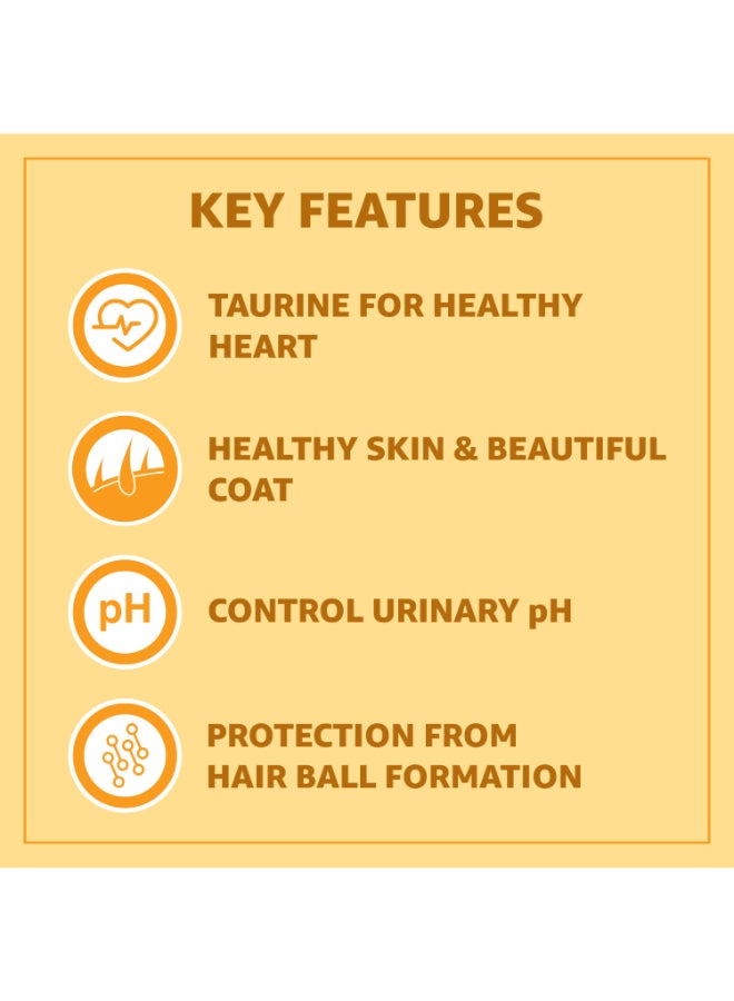 PUREPET طعام جاف للقطط دجاج حقيقي - Image 3