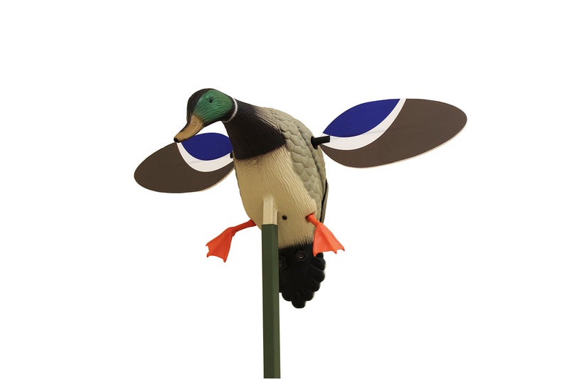 MOJO Outdoors ديك رومي دوار جناح موهو في الهواء الطلق للأطفال - طعم مائي متميز لصيد الطيور المائية والبط - Image 1