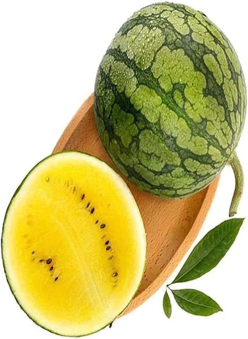GGOOT 50pcs Watermelon Seeds Perfect Entry Level Variety Widely Used and Can Be Planted with Other Fruits is Deeply Loved by People - Image 3