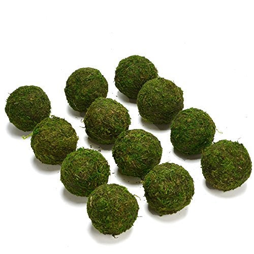 BYHER كرة ديكور طبيعية من موس أخضر من BYHER، مصنوعة يدويًا (2" - مجموعة من 12) - Image 1