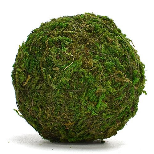 BYHER كرة ديكور طبيعية من موس أخضر من BYHER، مصنوعة يدويًا (2" - مجموعة من 12) - Image 4