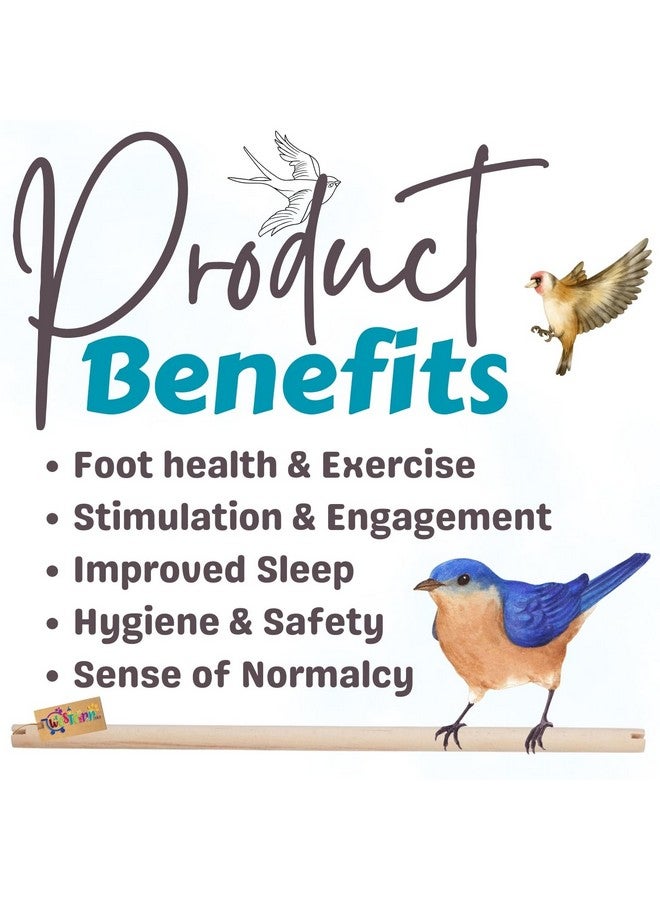 Western Era 'S Avian Haven Wooden Perch: Optimal Foot Health & Comfort For Your Feathered Companions, Ideal For Parakeets, Cockatiels & Small Birds, Crafted From Natural Wood For Durability (Pack Of 2) - Image 2