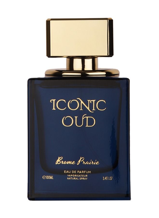 asense ICONIC OUD EDP 100ml Perfume - Image 1