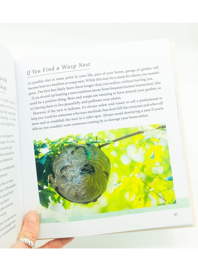 Summersdale Bring the Wild into Your Garden: Simple Tips for Creating a Wildlife Haven  - Image 5