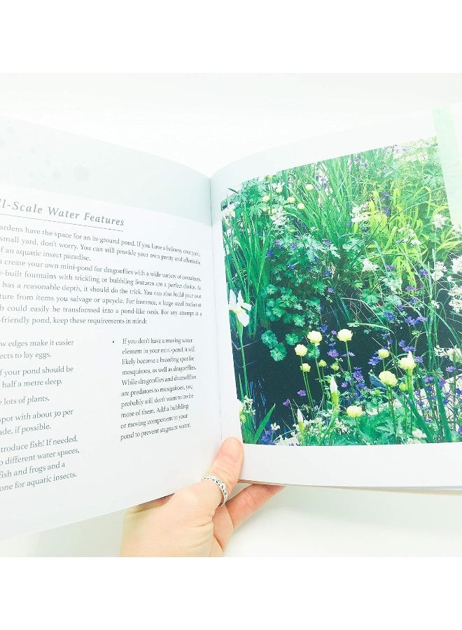 Summersdale Bring the Wild into Your Garden: Simple Tips for Creating a Wildlife Haven  - Image 3