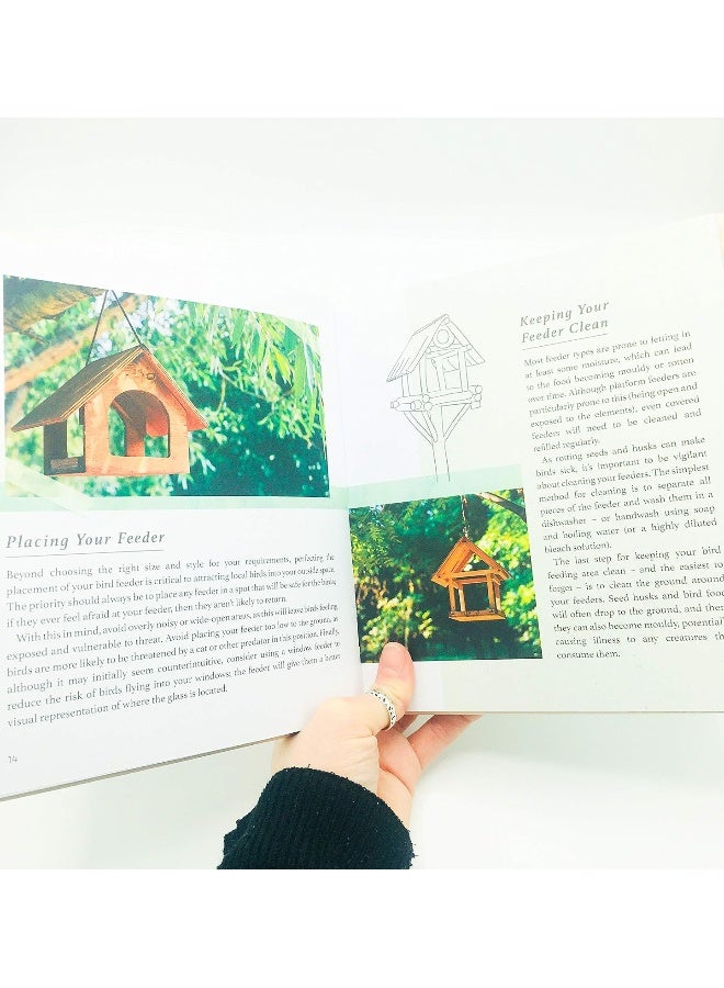 Summersdale Bring the Wild into Your Garden: Simple Tips for Creating a Wildlife Haven  - Image 4