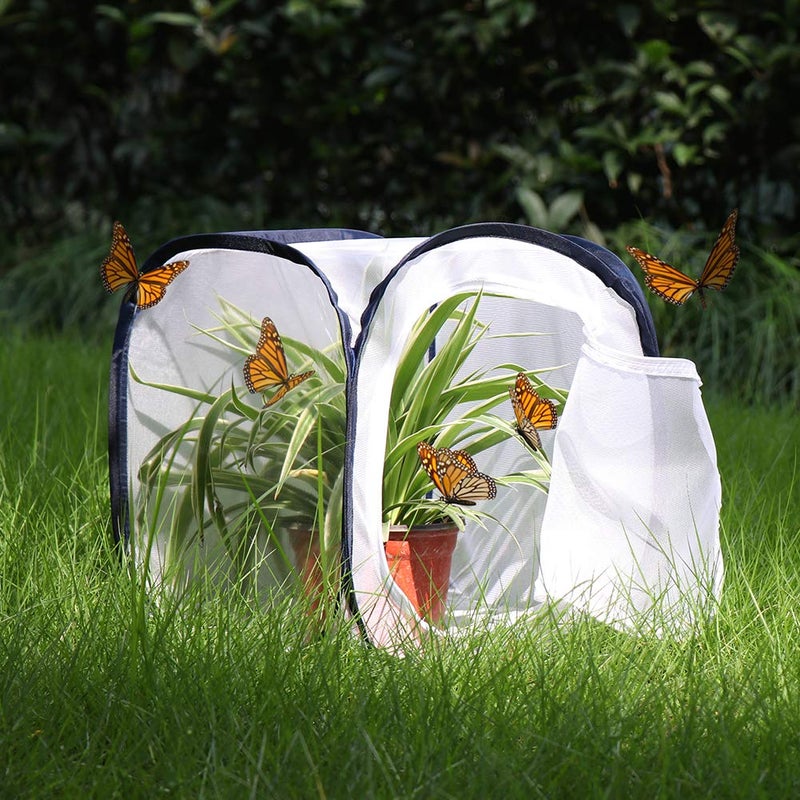 RESTCLOUD Insect and Butterfly Habitat Cage Terrarium Pop-up 12 X 12 X 12 Inches - Image 2