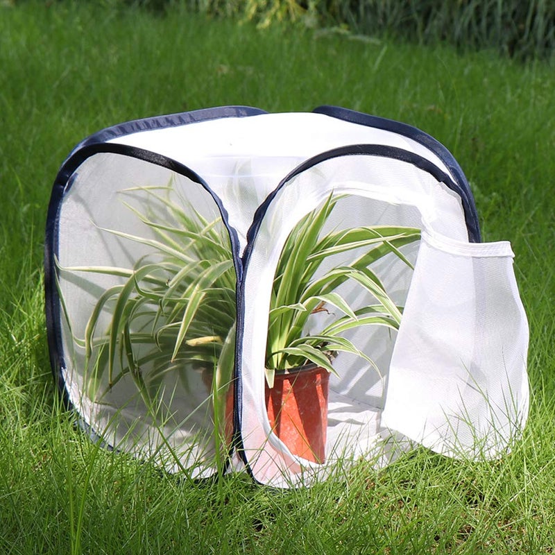 RESTCLOUD Insect and Butterfly Habitat Cage Terrarium Pop-up 12 X 12 X 12 Inches - Image 3