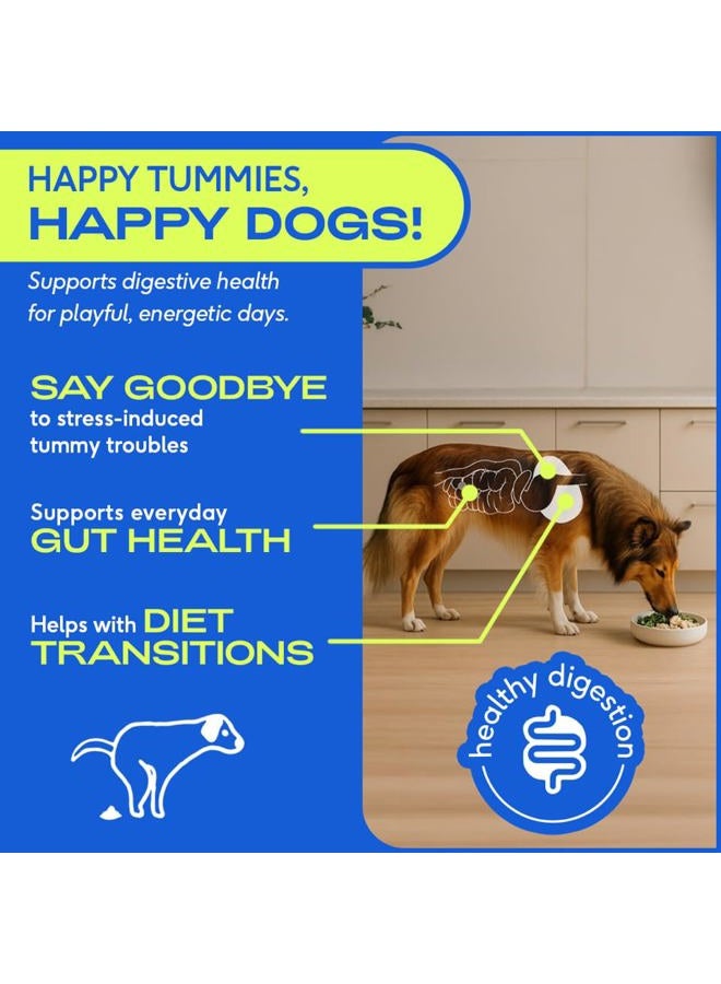 native pet Probiotics for Dogs - Dog Probiotics Powder for Digestive Health, Gut Support, & Immune Boost – Vet-Formulated Powder for Maximum Potency with Digestive Enzymes & Prebiotics - 30 Scoops - Image 4