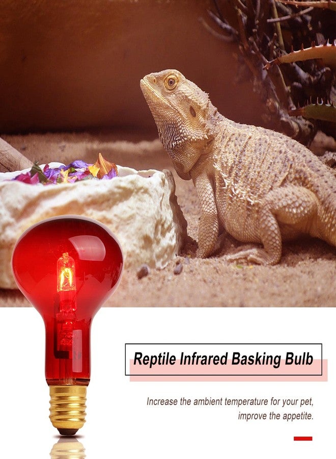 WUHOSTAM 100W Infrared Reptile Heat Lamp Bulb, UVA Basking Spot Red Light Glass Heat Bulbs for Reptiles and Amphibian Use, Bearded Dragon, Turtle, Gecko, Snake, Lizard, Chameleon - 2 Pack - Image 4