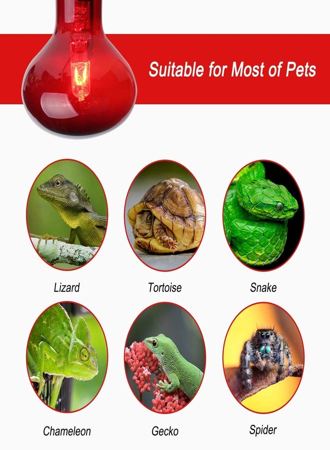 WUHOSTAM 100W Infrared Reptile Heat Lamp Bulb, UVA Basking Spot Red Light Glass Heat Bulbs for Reptiles and Amphibian Use, Bearded Dragon, Turtle, Gecko, Snake, Lizard, Chameleon - 2 Pack - Image 5