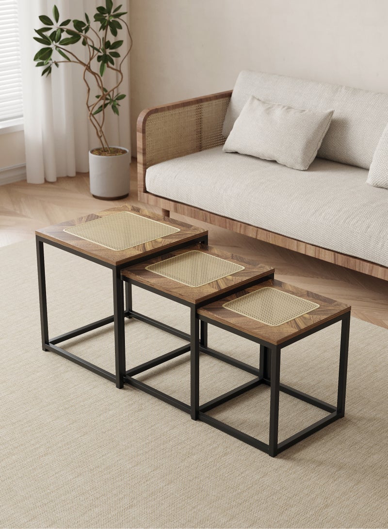 شي ون طقم طاولات مربعة من SHEE ONE بتصميم خشبي فاخر ولمسة قشّ طبيعية | طاولة جانبية أنيقة للزوايا والصالات | طاولة خدمة مثالية للمجالس | طاولة ضيافة عملية بتصميم متداخل لتوفير المساحة | طاولة ديكور عصرية بإطار معدني متين | الأبعاد: 50×45×45 سم، 45×40×40 سم، 40×34×35 سم - Image 3