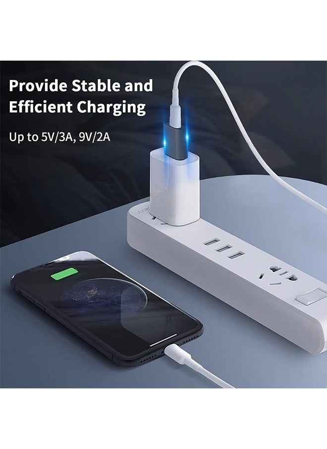 USB C Female to USB Male Adapter, 3.1 Gen2 USB to USB C Adapter, 10Gbps USB 3.1 Type C to Type A Charger Converter OTG Fast Charging Compatible with iPhone, MacBook, Samsung Galaxy, 2Pack