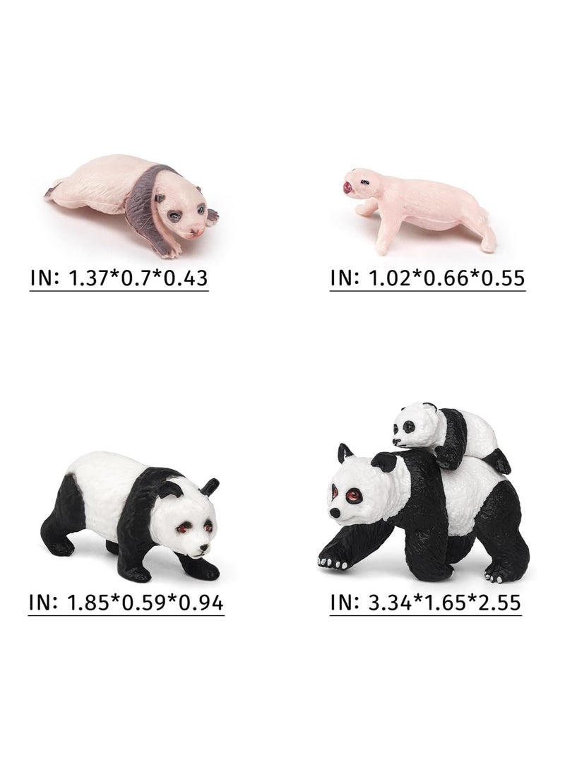 Panda Life Cycle Educational Toy Set - 4PCS Animal Growth Stages Model for Boys, Girls, Toddlers, Classroom Use, Party Supplies, Cake Toppers, and Desktop Decoration. - Image 2