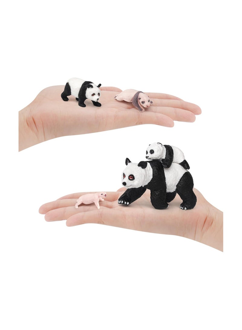 Panda Life Cycle Educational Toy Set - 4PCS Animal Growth Stages Model for Boys, Girls, Toddlers, Classroom Use, Party Supplies, Cake Toppers, and Desktop Decoration. - Image 3