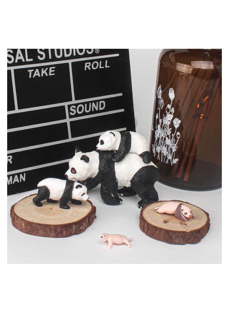 Panda Life Cycle Educational Toy Set - 4PCS Animal Growth Stages Model for Boys, Girls, Toddlers, Classroom Use, Party Supplies, Cake Toppers, and Desktop Decoration. - Image 5