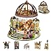 FLYNOVA DIY Miniature House KitGreen Garden Mini House Building Kit with LED FurnitureTiny House Dollhouse Kit for Adults Teen HobbyWooden Craft Mini Model KitPlants Lover Home Decor Birthday Gifts - Image 3