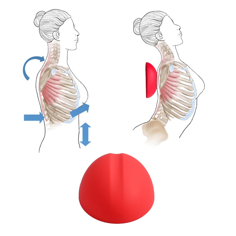 LittleMum Thoracic Flex Stretcher, Pectoral Stretch Device, Self-Care Tool for Costochondritis and TOS Pain, Help Fix Hunchback and Round Shoulder, Tight Pectoral Muscles Release - Image 4