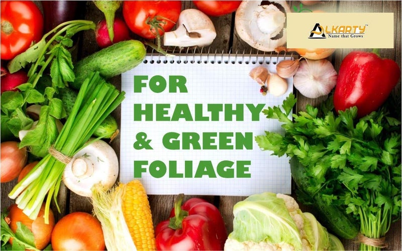 Alkarty Seaweed Fertilizer for Vegetable Plants 1 kg - Image 2