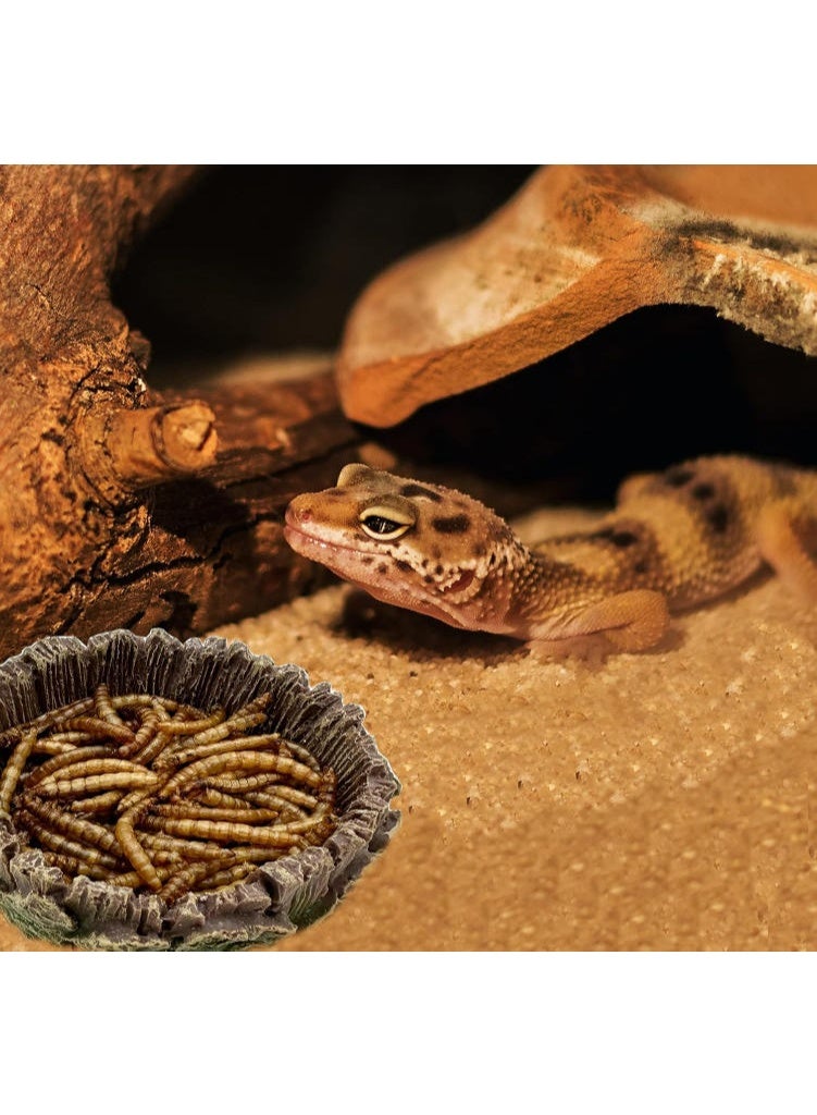 الواحة-TH شجرة باوباب اصطناعية لتزيين أحواض السمك، نباتات مائية، زينة صحراوية مصغرة، مصنوعة من الراتنج - Image 3