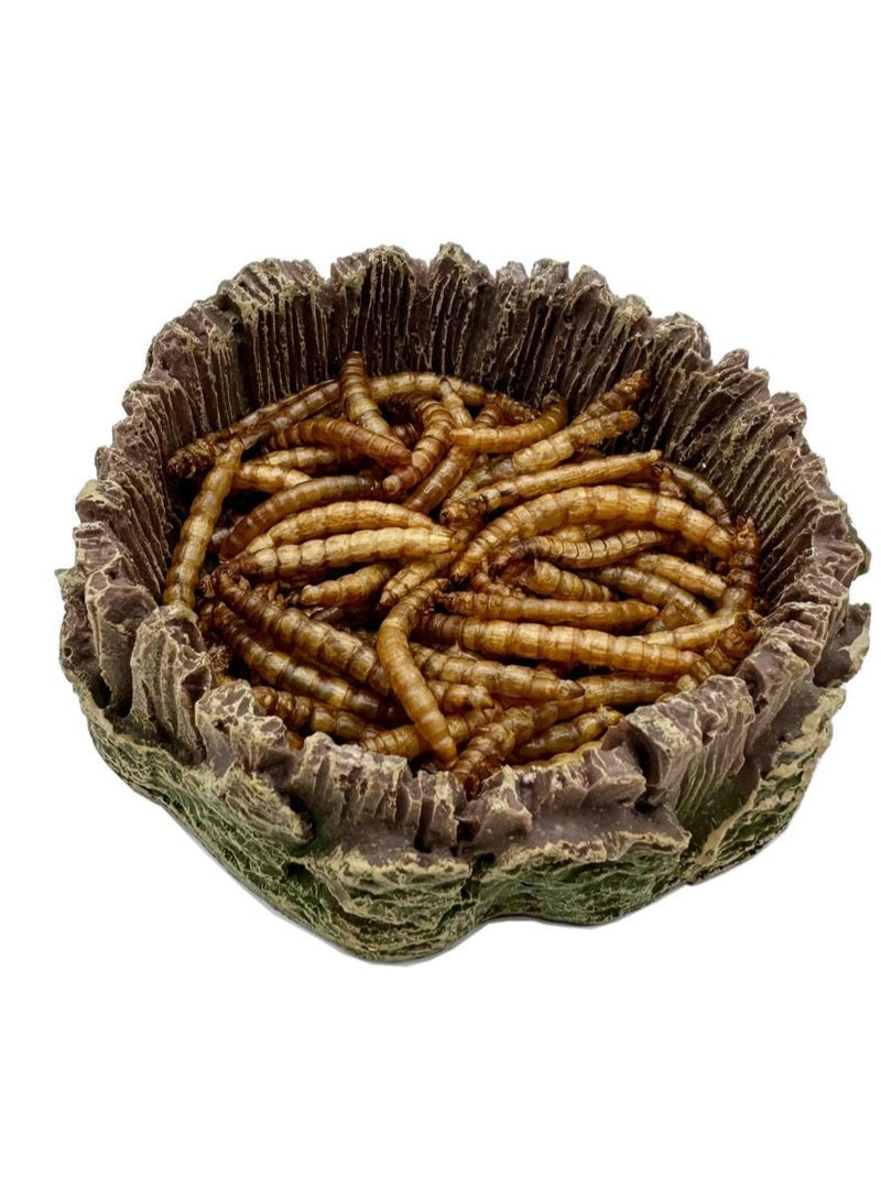 الواحة-TH شجرة باوباب اصطناعية لتزيين أحواض السمك، نباتات مائية، زينة صحراوية مصغرة، مصنوعة من الراتنج - Image 4