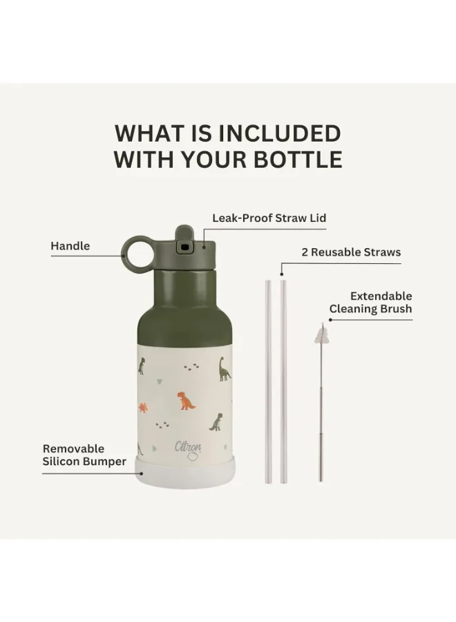 Citron Kids Water Bottle350 Ml , Vacuum Insulated Stainless Steelleak Proof, Eco - Friendly, Perfect For School And Traveldino - Green
