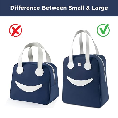 NFI essentials Insulated Lunch Bag for Men Women Large Tiffin Carry Bag Travel Lunch Box Organizer for Office, School, College, Leak-Proof Lunch Cooler Bag (Blue) - Image 3