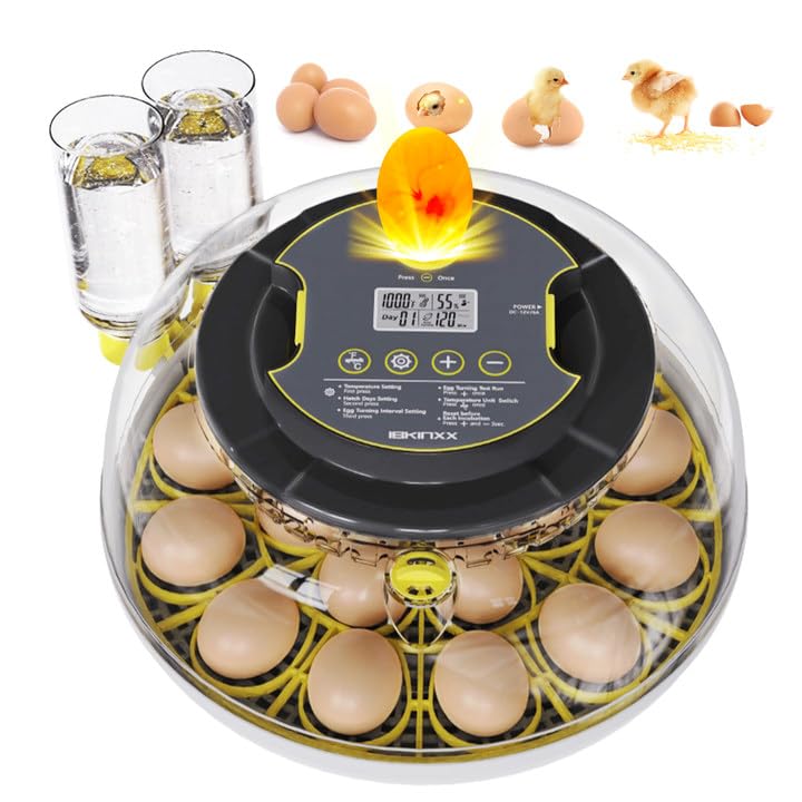 IBKINXX Incubator for Hatching Eggs-12 Egg Capacity, 2026 Newly Upgraded Automatic Egg Turner, Temperature & Humidity Control, 360Â° Viewing for Chicken, Duck and Quail Eggs (Grey) - Image 1