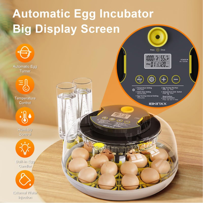 IBKINXX Incubator for Hatching Eggs-12 Egg Capacity, 2026 Newly Upgraded Automatic Egg Turner, Temperature & Humidity Control, 360Â° Viewing for Chicken, Duck and Quail Eggs (Grey) - Image 3