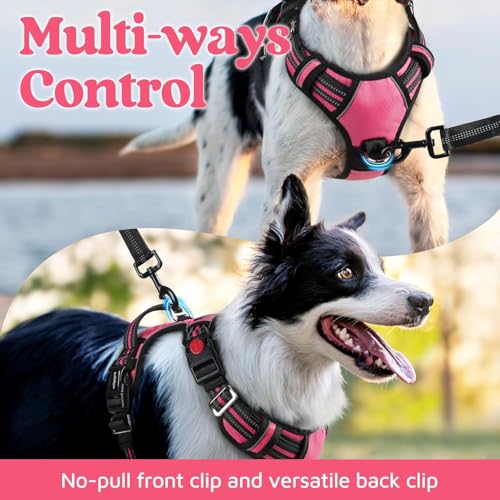 Doggo Bite Premium Reflective Dog Vest Harness| Soft Breathable| Padded Handle| Adjustable Straps & Dual Lock Buckle| No-Choke Design with Free Leash-22mm Chest 28-37inch All Giant Breeds 35-60Kg - Image 4