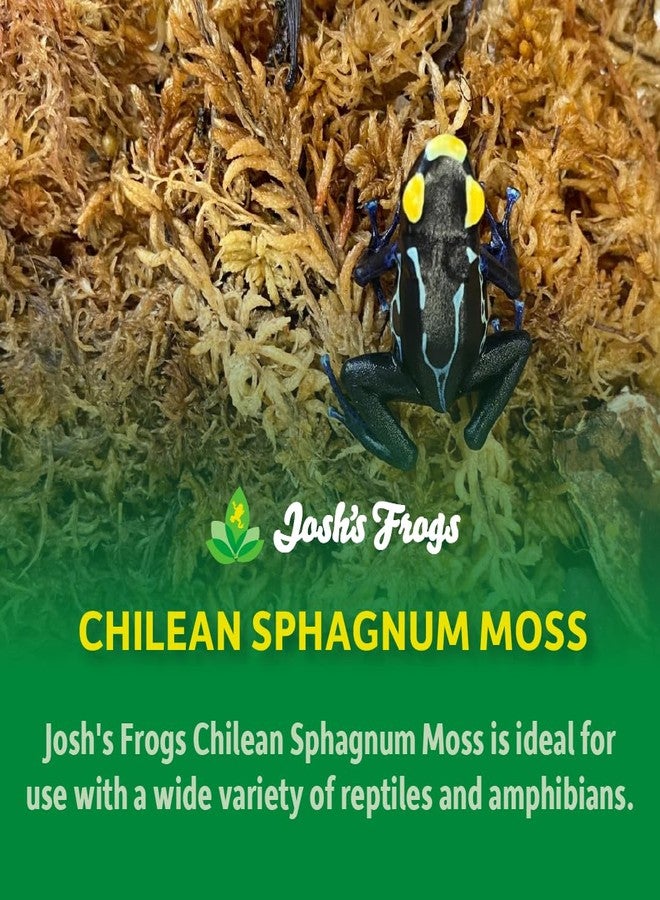 Josh's Frogs Chilean Sphagnum Moss (100g Bag) - Image 2
