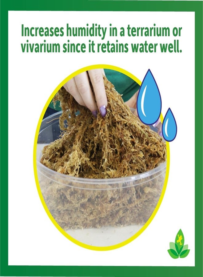 Josh's Frogs Chilean Sphagnum Moss (100g Bag) - Image 3