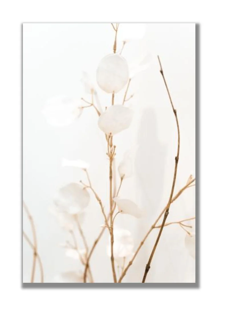 Drawdeck Floral Leaves