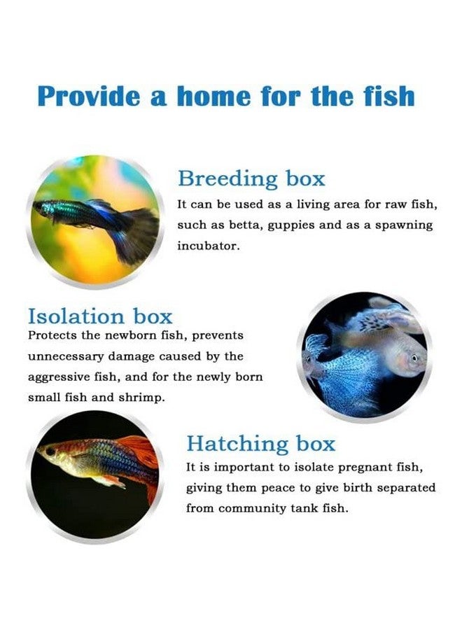 صندوق تربية الأسماك في حوض أسماك Boyu، صندوق عزل، صندوق فقس لزريعة الأسماك (صندوق شبكي كبير Nb-3202A مزدوج مع صينية سفلية) - Image 3
