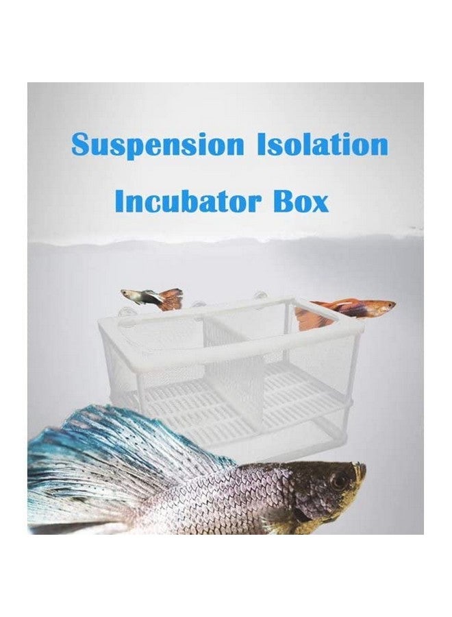 صندوق تربية الأسماك في حوض أسماك Boyu، صندوق عزل، صندوق فقس لزريعة الأسماك (صندوق شبكي كبير Nb-3202A مزدوج مع صينية سفلية) - Image 2