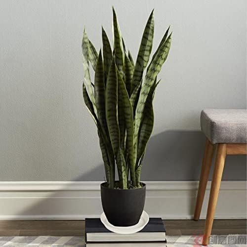 Tim Tim Agro Plant Saucer 10 Inch, 6 Pack of 10 inch Plant Saucer Round, Plastic Flower Plant Trays for Pots, Plant Saucers for Indoors 9", Plant Pot Saucers (White) - Image 4