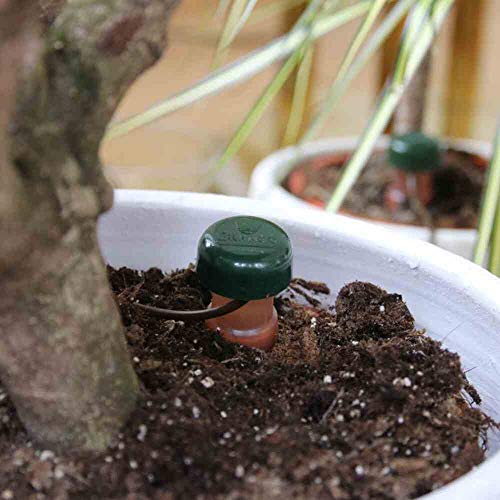 Blumat 12500 Junior Counter Display Box Automatic House Plant Watering, 25-Pack - Image 5