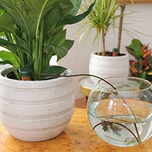 Blumat 12500 Junior Counter Display Box Automatic House Plant Watering, 25-Pack - Image 2