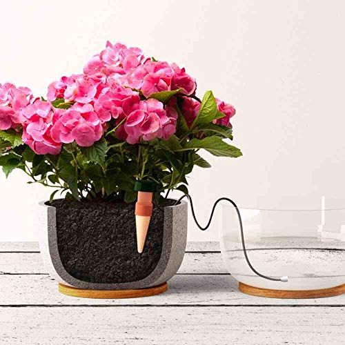 Blumat 12500 Junior Counter Display Box Automatic House Plant Watering, 25-Pack - Image 4