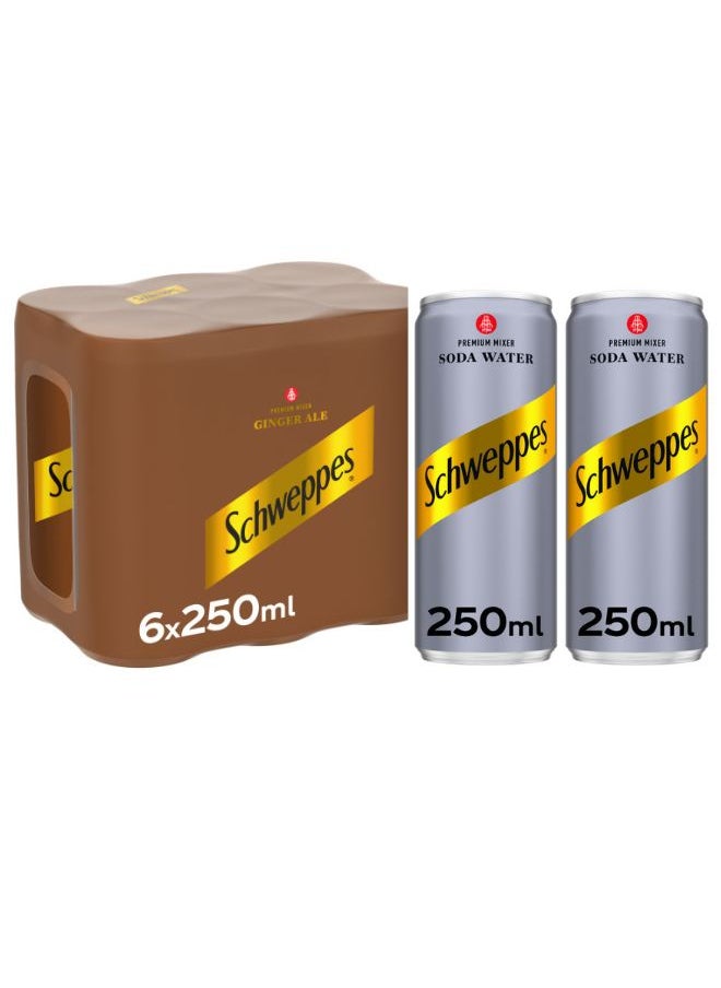 Schweppes Ginger Ale and Soda Water Cans 6 x 250ml + 2 x 250ml  - Image 1