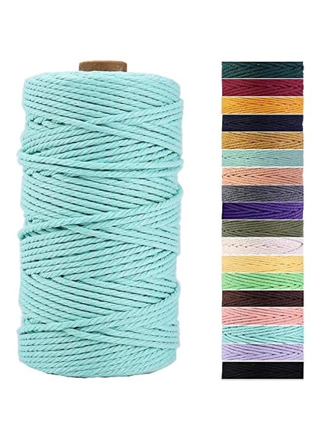 Light Blue 3mm x 109 Yards Cotton Rope rame Cord for Crafts Wall Hanging Plant Hangers Knitting and Decorative Projects - pzsku/ZDE5F432303448E11A0C0Z/45/_/1730322634/33f2458d-7c9a-4eef-89b2-73979a324fcb