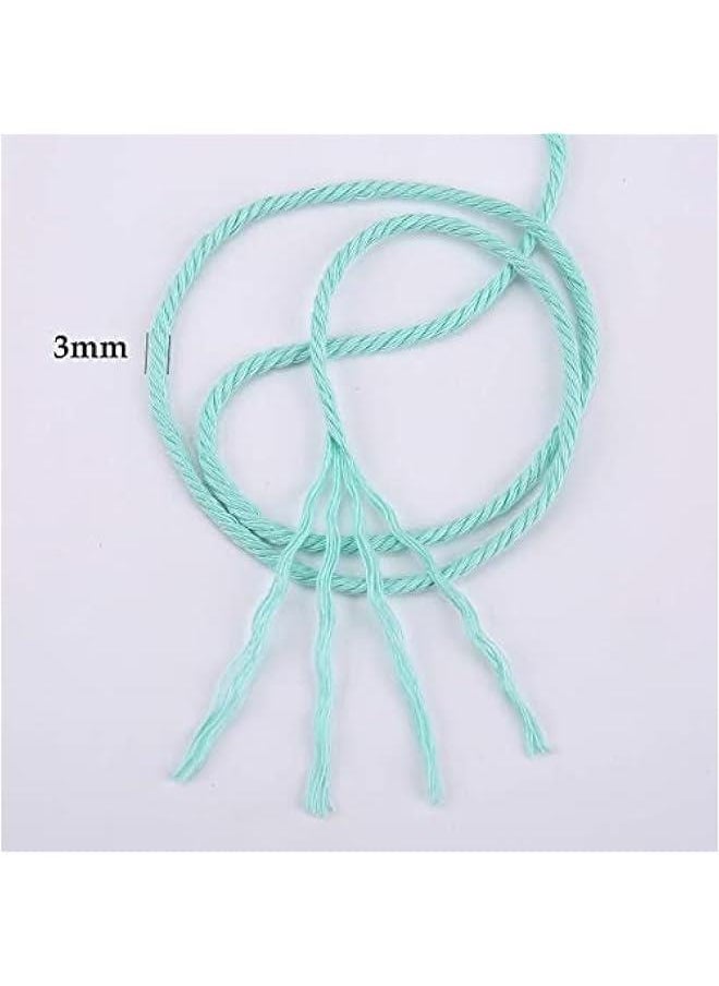 Light Blue 3mm x 109 Yards Cotton Rope rame Cord for Crafts Wall Hanging Plant Hangers Knitting and Decorative Projects - pzsku/ZDE5F432303448E11A0C0Z/45/_/1730322735/dbae4475-de06-44d0-8bc0-3cca4bf4621d