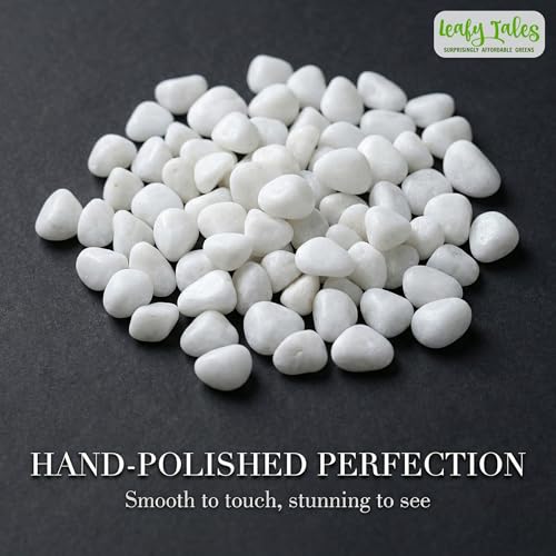 Leafy Tales White Polished Marble Stone Pebbles for Home & Garden Decoration|Plants & Pots|Art & Craft|Aquarium Vase Filler | White Polish 500 GMS - Image 2